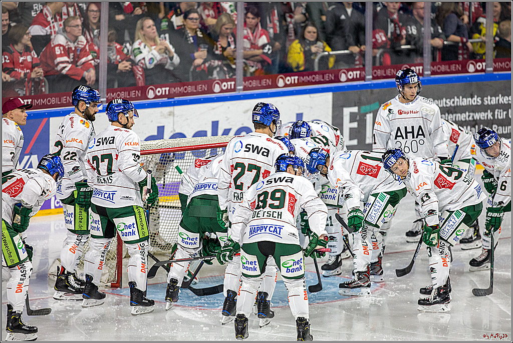 DEL Koelner Haie - Augsburg Panther, 14.09.2018